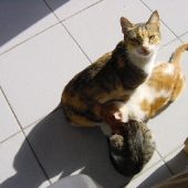 18