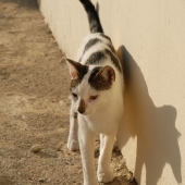 kreta-2007-068
