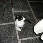 kreta-2007-canon-047
