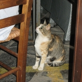 kreta-2007-canon-048