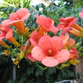 kreta2_2008