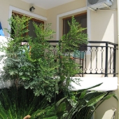 kreta9_2009