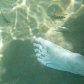 baech_5