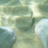beach_e