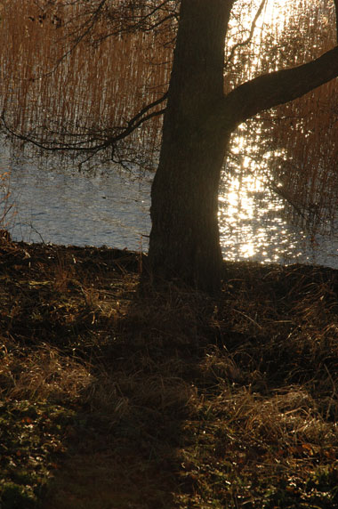 natur2.jpg