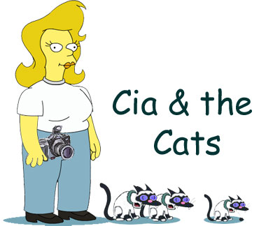 Cia in Simpson Movie